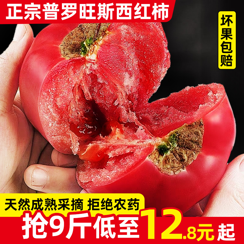 正宗农家自然熟普罗旺斯西红柿5斤新