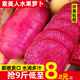 山东寿光紫美人水果萝卜5-9斤凤梨萝卜甜脆水果红心青萝卜冰淇淋
