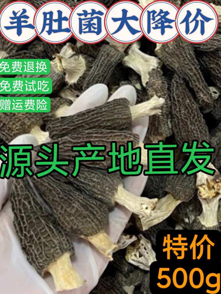 当季特价野生羊肚菌干货500g新货