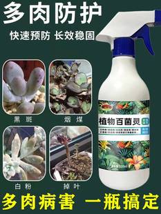 多肉专用杀菌药烂根用药治黑腐化水掉叶预防杀虫杀菌药肥料营养液