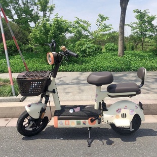 新国标电动车男女生小型电瓶车助力电车成人代步电动自行车高续航