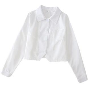 JK基础款衬衫女设计感小众2024春季新款长袖短款衬衣学生白色上衣