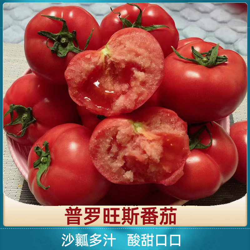 山东普罗旺斯番茄生吃西红柿4.5斤