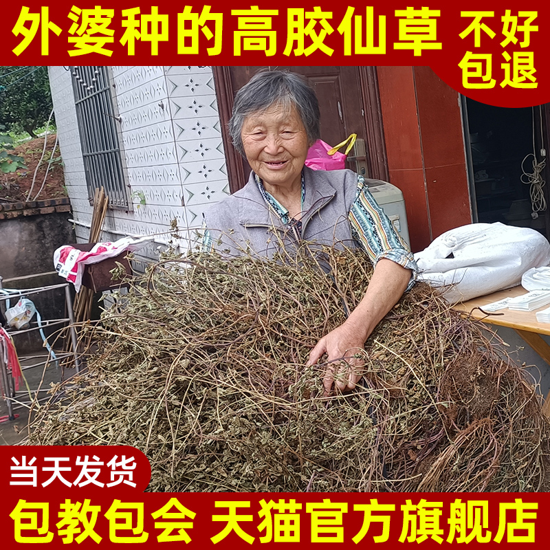 正宗高胶仙草干黑凉粉草粿草汁仙人粄