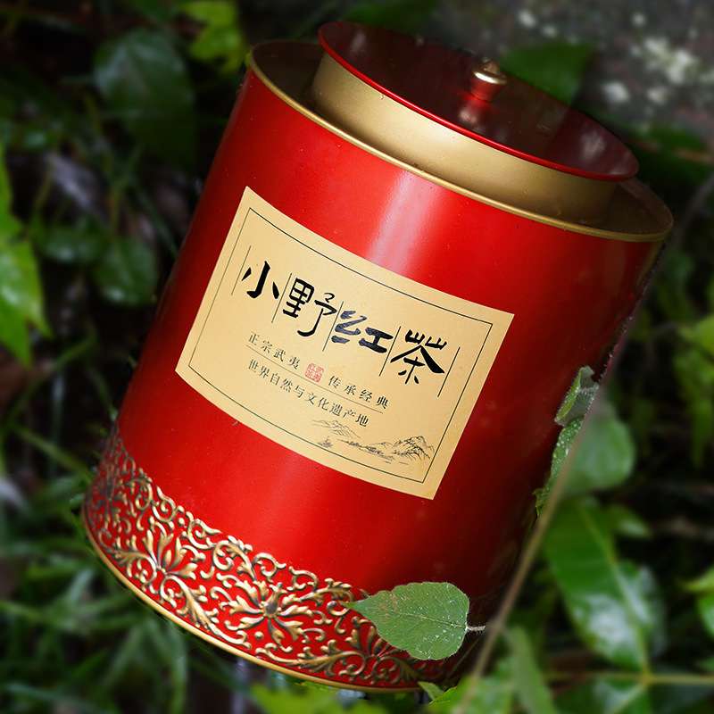 三醉茶人武夷山桐木关正山小种荒野红茶散装罐装特级茶叶500g