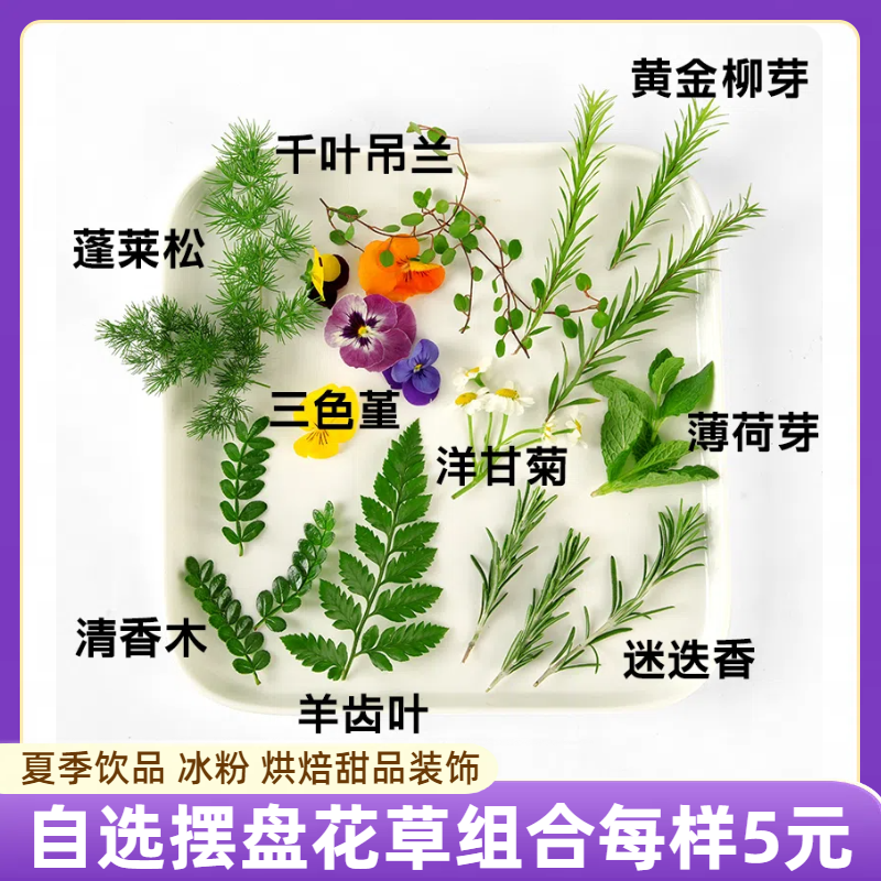 新鲜摆盘花草网红装饰小叶子甜品蛋糕烘焙清香木薄荷三色堇食用花