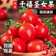 千禧圣女果10斤新鲜水果农家蔬菜樱桃千禧小番茄黄金色西红柿