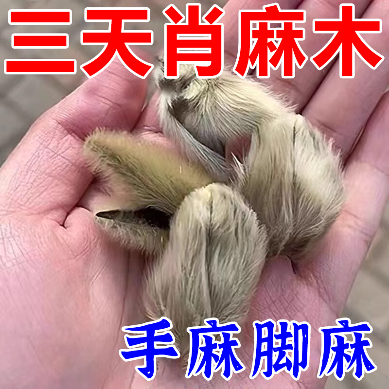 三天肖麻木】四肢手脚麻木贴颈椎压迫神经刺痛手指酸胀止麻专用YN