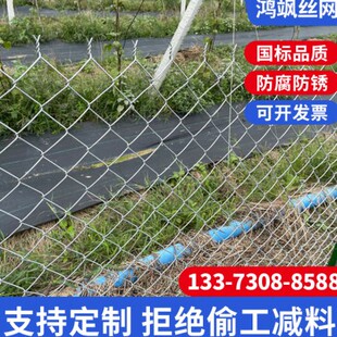 热镀锌勾花网围网铁丝网不锈钢养殖网鸡鸭牛羊护栏围栏果园防护网