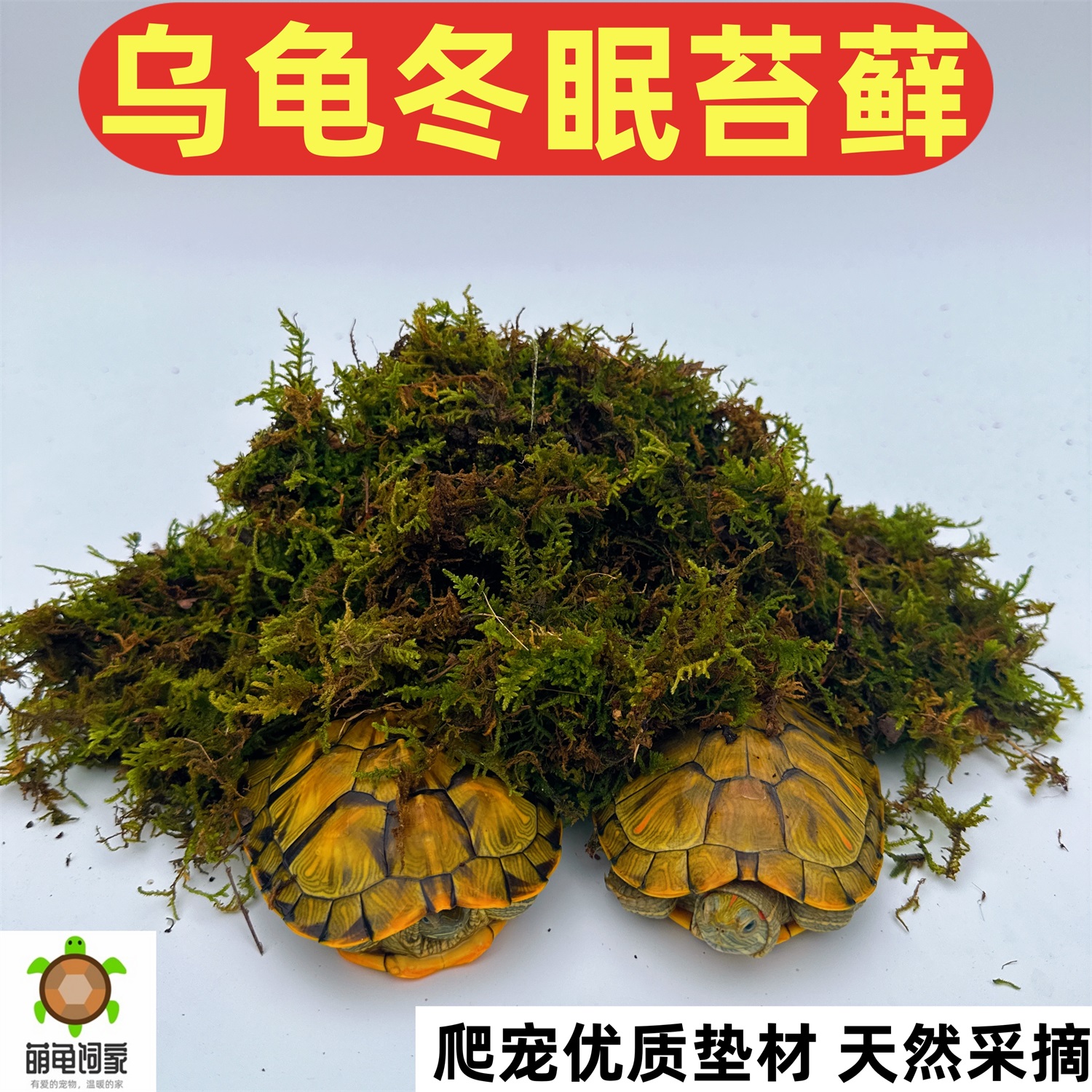 爬宠垫材苔藓保湿乌龟冬眠专用过冬用品椰砖椰土干草龟巴西龟专用