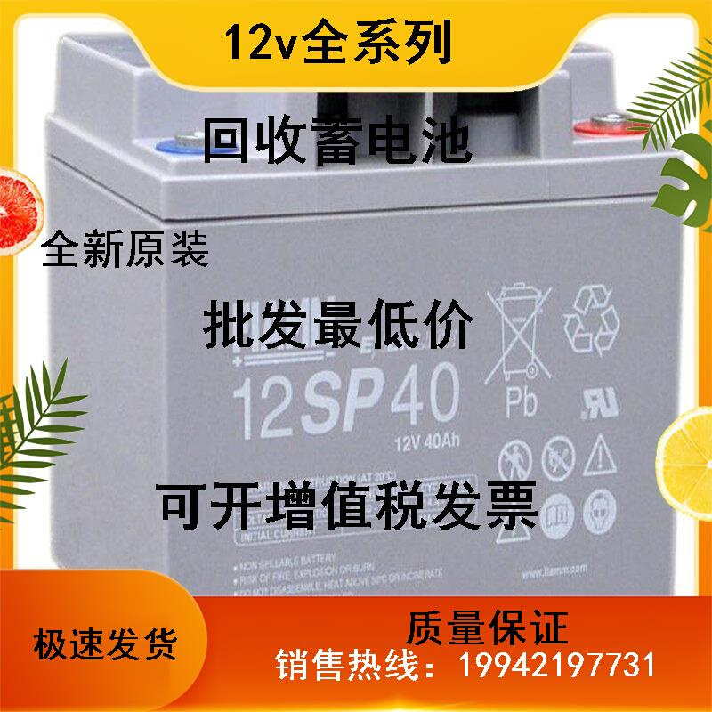 非凡蓄电池12V33AH铅酸12SP33直流屏UPS EPS储能应急电源用