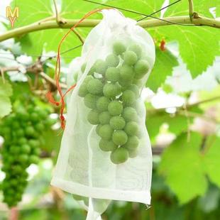 葡萄套袋专用袋水果防虫果子防鸟保护草莓袋网袋透气番茄蓝莓网袋