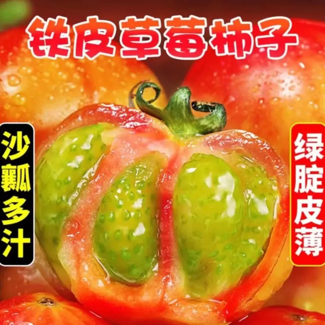 丹东草莓柿子5斤水果西红柿新鲜当季