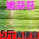 【新货】新蒜苔2024新鲜蒜苔5斤嫩蒜苔新鲜批发蒜薹蒜毫当季蔬菜