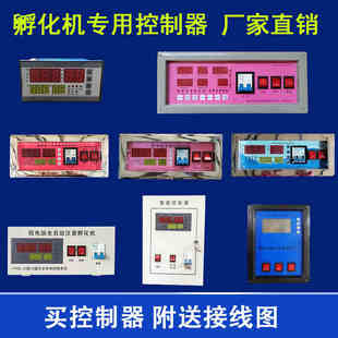 全自动孵化机家用小型控制器温控仪温控器温湿度仪表孵化器控制器