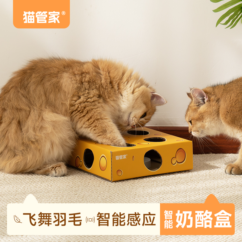 猫管家玩具 猫玩具自嗨解闷神器 消耗体力自己玩魔盒打地鼠猫玩具