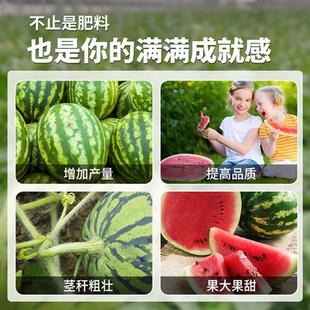 西瓜肥料专用肥营养液瓜果肥料有机复合颗粒增甜膨瓜阳台盆栽通用