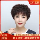 减龄中老年轻薄妈妈假发款真人发丝短卷发假发女短发真发全头套