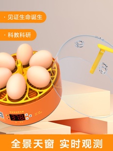 定制新款实验孵蛋器小鸡孵化器小型家用全自动鸡蛋孵化箱儿童智能