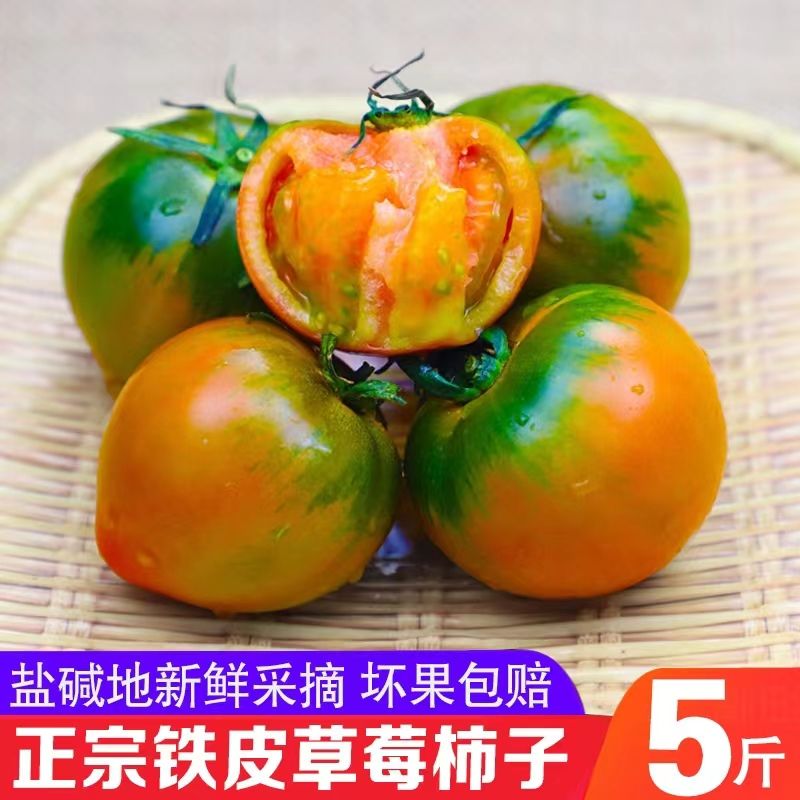 正宗丹东铁皮西红柿生吃绿腚番茄草莓