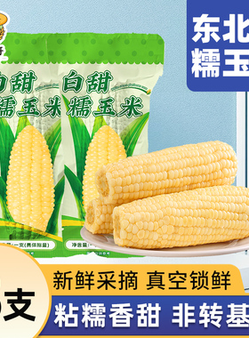 东北白糯玉米250g*8支真空包装