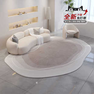 不规则异形地毯客厅卧室床边毯家用沙发茶几大面积可擦免洗地垫