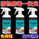 正品花病康植物花卉通用型免稀释直喷家庭园艺常备花卉无毒杀虫剂