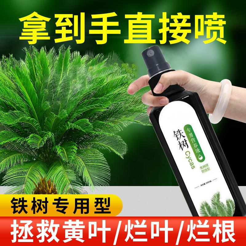 铁树专用肥料营养液绿植苏铁叶子发黄