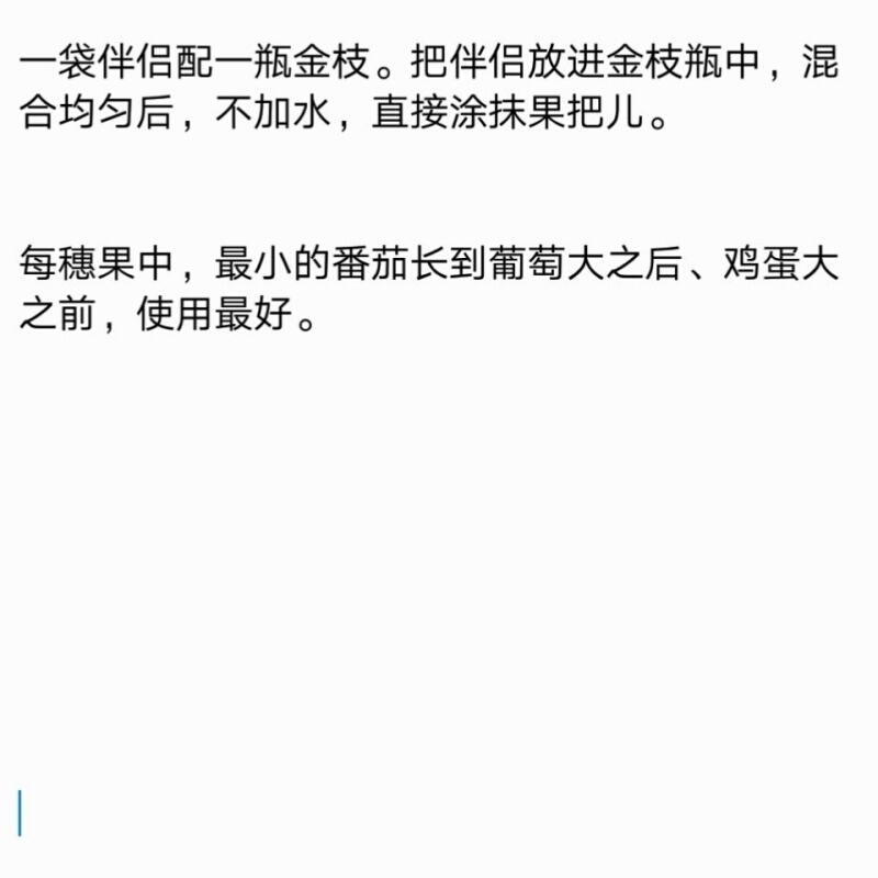 金枝番茄免吊穗进口西红柿铁把铁F柄粗把果把粗壮膨果快鄂片大