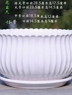 品直径30厘米左右特大号纯白色陶瓷花盆带托盘个性客厅多肉花盆新