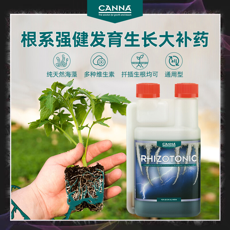 荷兰生根CANNA RHIZOTONIC植物叶面扦插壮苗移栽绿植盆景果蔬花卉