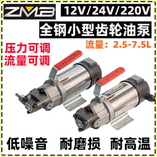 小型直流电机油泵12V/24V220V 齿轮油泵电动摆线泵抽液压油减速机