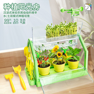 学优马阳光房种植儿童种菜玩具科学实验盆栽手工diy材料植物花房