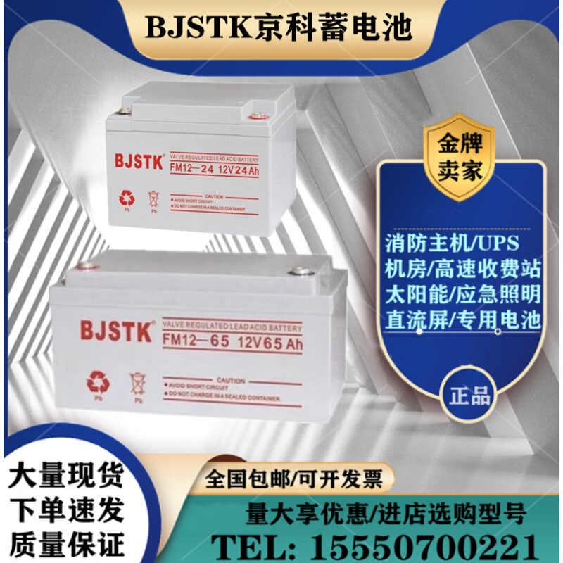 BJSTKFM12-65/12V4.5A7A12A17A24A38A65A100A120AH机房