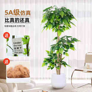 仿真绿植幸福树室内客厅落地摆件橱窗大型仿生植物盆栽假树盆景