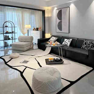 轻奢不规则客厅地毯法式高级黑白配色沙发茶几毯简约卧室床边地毯