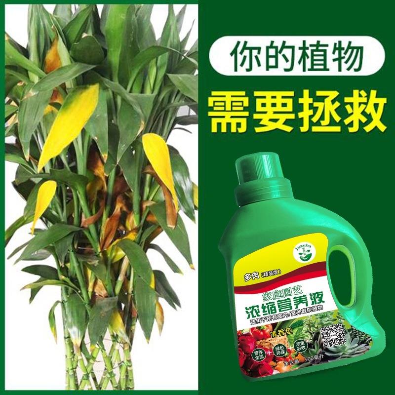 通用型植物家庭园艺浓缩营养液万能绿植绿萝多肉富贵竹养花液体肥