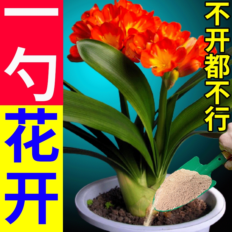 骨粉花肥料促花养花园艺脱脂有机钙磷钾花卉阳台种蔬菜果树通用型