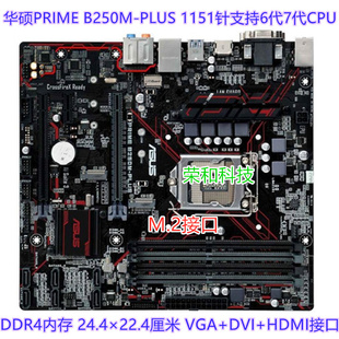 充新Asus/华硕b250M-PLUS B150M-A H110M-K Z170 Z270 B250主板