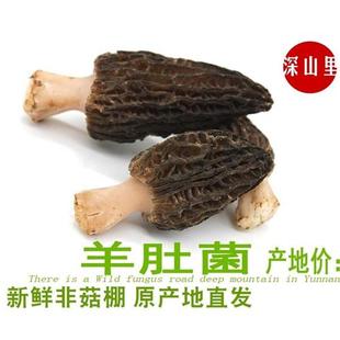 深山里 新鲜羊肚菌500g送礼煲汤羊肚菇特产云南野生牛肚菌非鸡枞