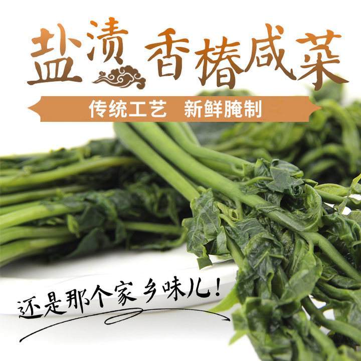 香椿芽咸菜山东特产新鲜腌制香椿头茬