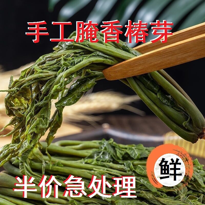 山东特产盐渍香椿芽咸菜春天盐菜农家