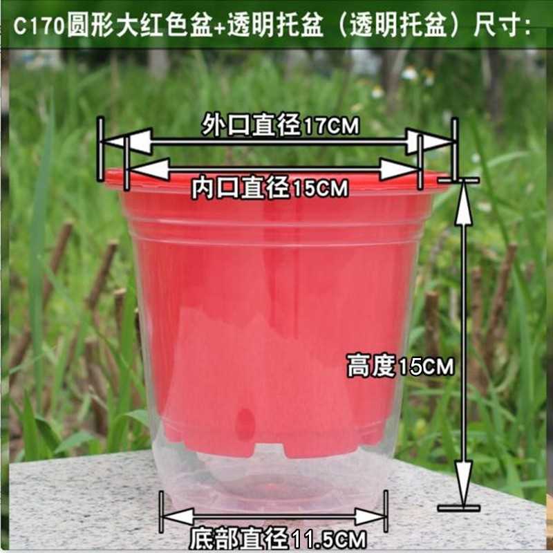 绿萝花盆自动吸水接水懒人室内塑料吊兰家用水培绿植透明加厚5套