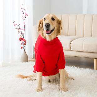 可爱大狗狗春夏衣服中型大型犬金毛边牧拉布拉多萨摩柴犬宠物夏天