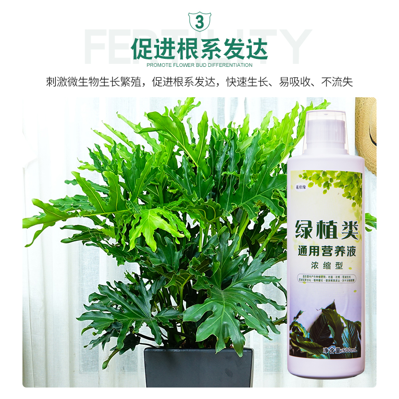 营养液浇花肥家用通用型盆栽植物绿萝发财树富贵竹观叶型花卉肥料