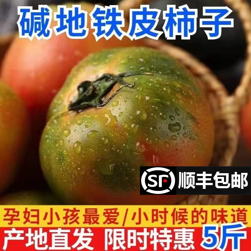 正宗丹东铁皮草莓柿子盘锦碱地即食新