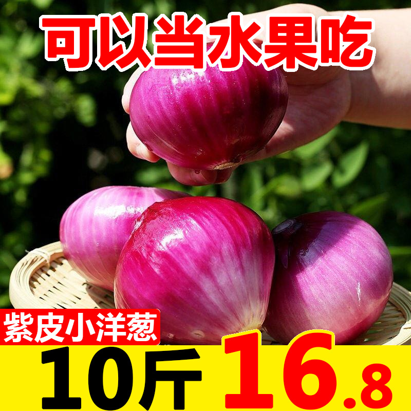 云南特级水果小洋葱甜味生吃10斤紫