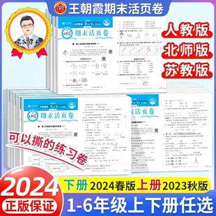 2024新版王朝霞期末活页卷一二三四五六年级下册上册同步试卷测试卷全套语文数学英语人教北师大苏教版小学生归类复习期末冲刺卷子