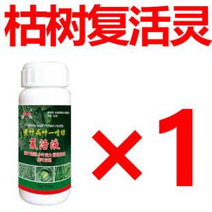 急速发货发财树复活液大树复活灵改善烂根烂苗黄叶枯树死树树木大