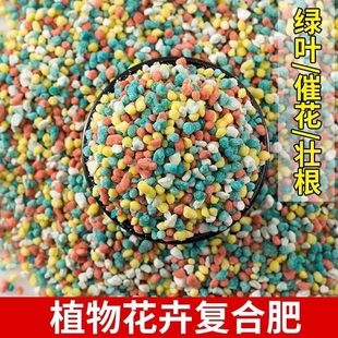 氮磷钾复合肥绿植花卉多肉缓释肥颗粒专用控释花肥料盆栽家用通用